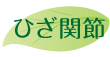 ひざ関節